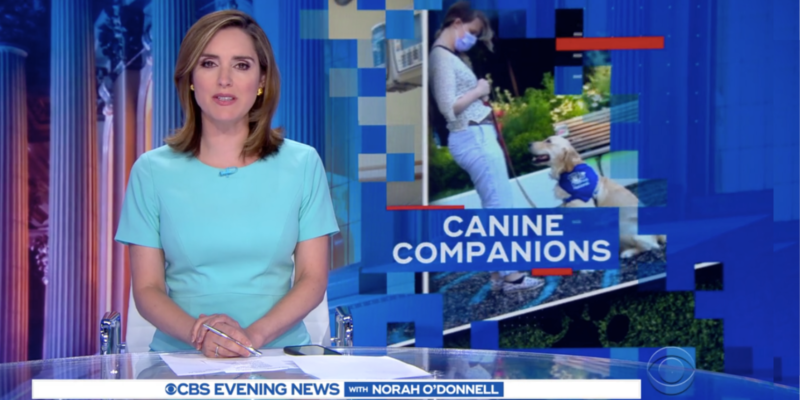 Still image from news story featuring Barney