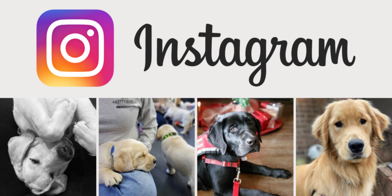 Follow Hero Dogs on Instagram