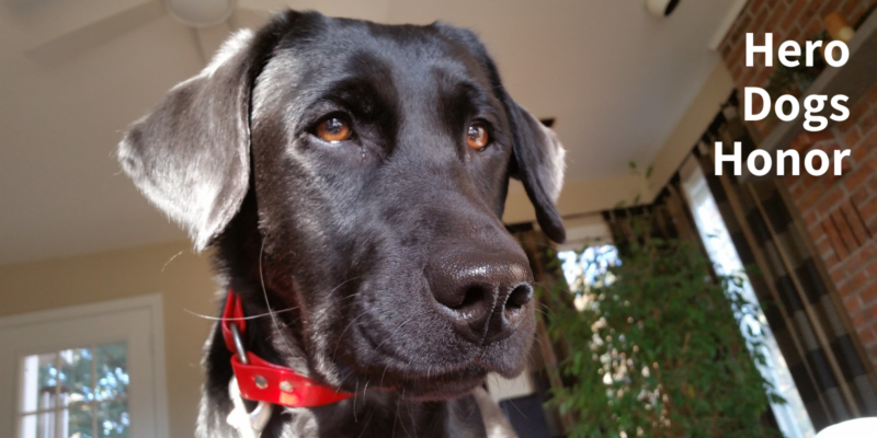 Feature Friday: Hero Dogs Honor