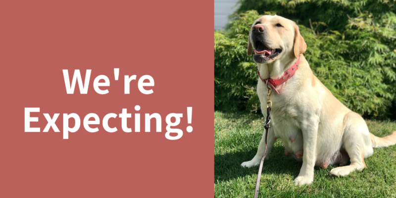 We're Expecting!