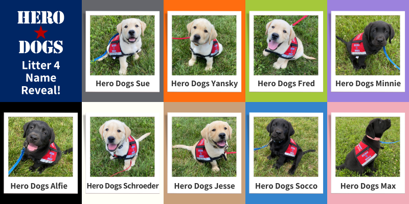4th Litter Name Reveal