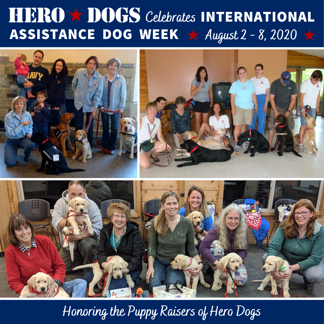 To honor the puppy raisers and trainers of assistance dogs.