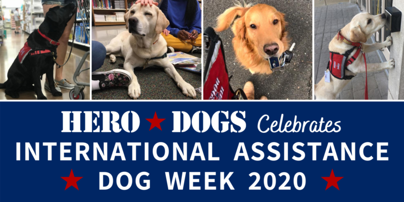 Hero Dogs Celebrates IADW 2020