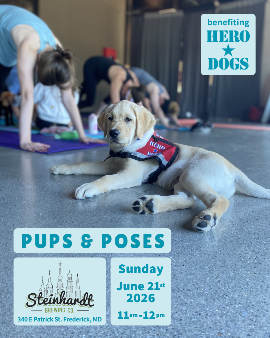 Puppy Yoga on June 21st Puppy Yoga on June 21st