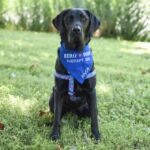 Hero Dogs Alyce