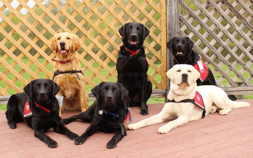 group photo