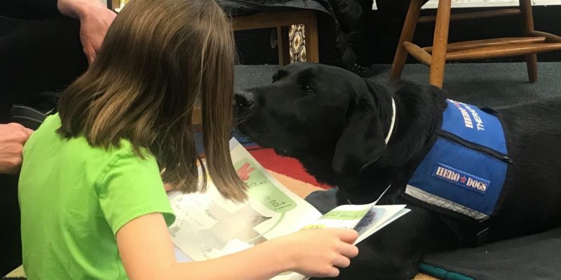 Hero Dogs Louie