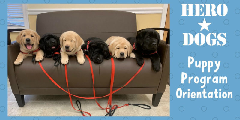Hero Dogs Puppy Program Orientation